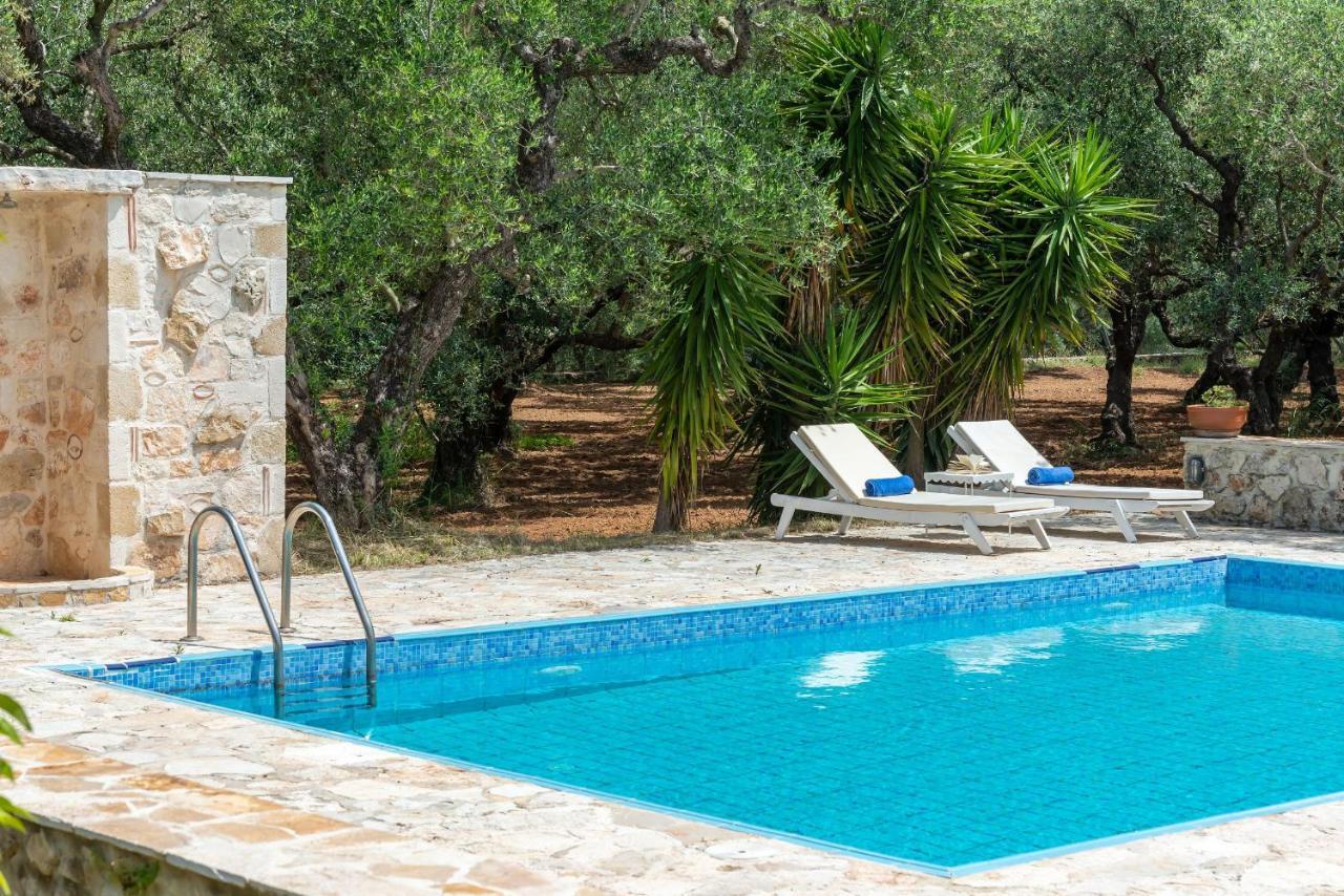 Olivegrove Villa - Nestled In Olive Trees With Private Pool, By Zantewize Tragaki Exterior foto